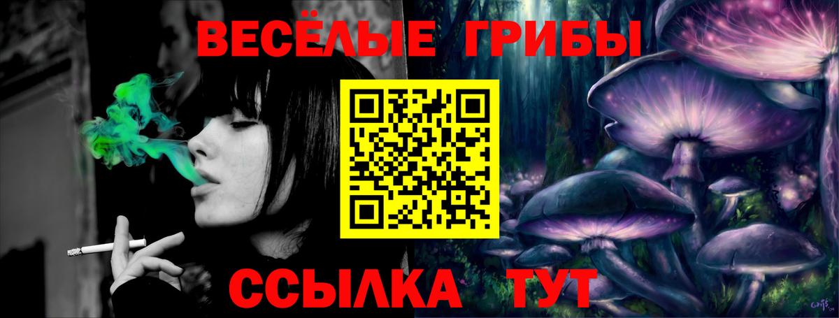 Киров  Псилоцибиновые грибы Cubensis  Вход с VPN  Галлюциногенные грибы мухоморы 